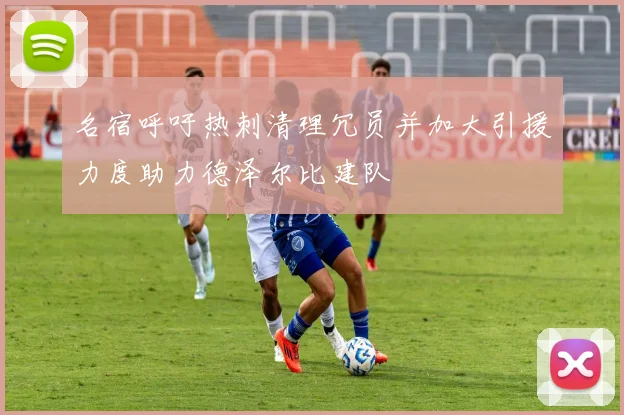 名宿呼吁热刺清理冗员并加大引援力度助力德泽尔比建队