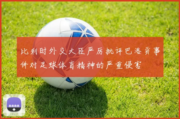 比利时外交大臣严厉批评巴洛贡事件对足球体育精神的严重侵害